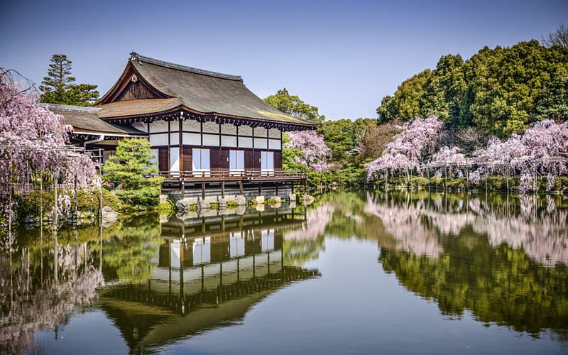 Heian Shrine, sakura, spring, lake, cherry blossom, japan, kyoto, shrine, japanes, temple, garden, HD wallpaper
