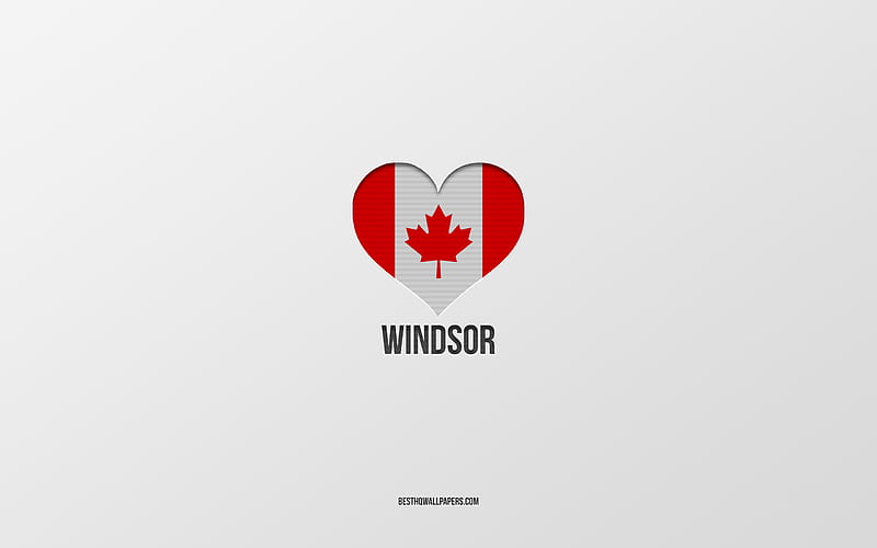 I Love Windsor, Canadian cities, gray background, Windsor, Canada, Canadian flag heart, favorite cities, Love Windsor, HD wallpaper