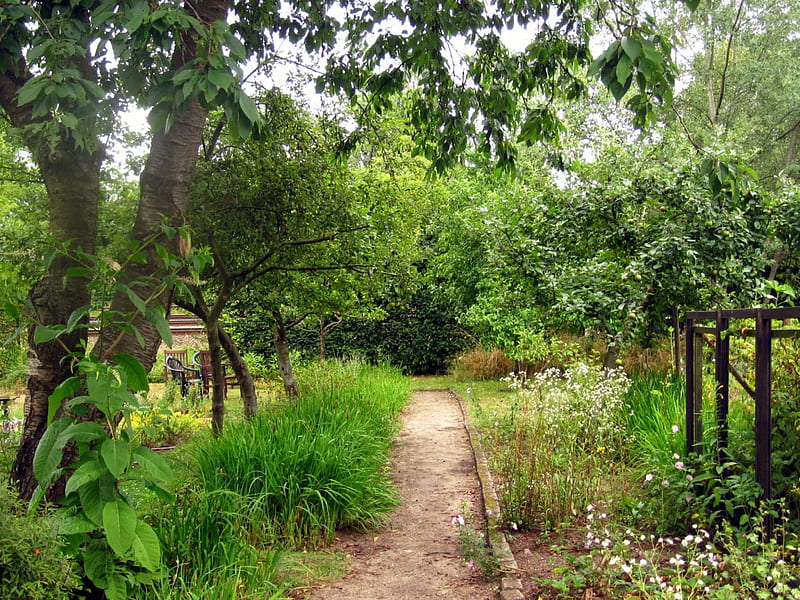 Gaia's Garden: A Guide to Home-Scale Permaculture, 2nd Edition: Hemenway,  Toby: 8601405110275: Amazon.com: Books