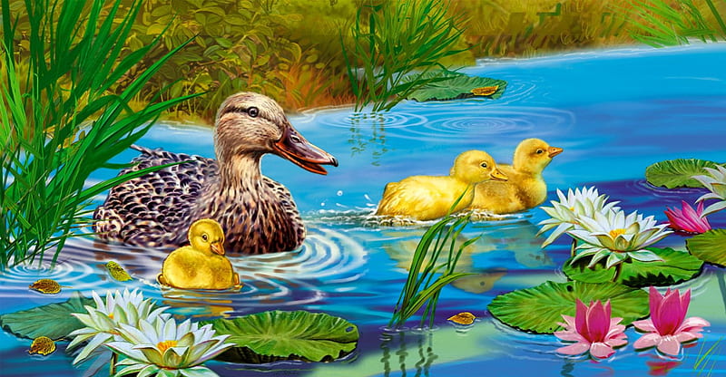 Cute family, pretty, family, colorful, shore, grass, children, bonito, adorable, mother, sweet, leaves, duck, painting, flowers, duckling, swimming, learn, art, lovely, lilies, fun, joy, lake, pond, cute, water, summer, HD wallpaper