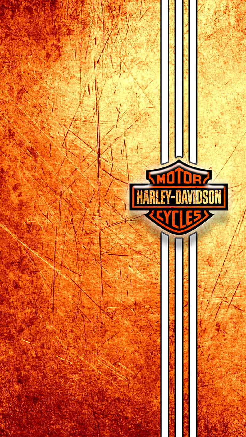 Harley Davidson, bike, biker, motorcycle, HD phone wallpaper