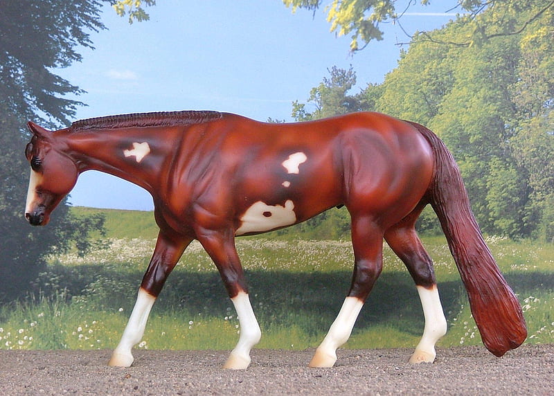 peter stone paint horse, pleaser horse, long tail, chestnut, walking, white, western, HD wallpaper