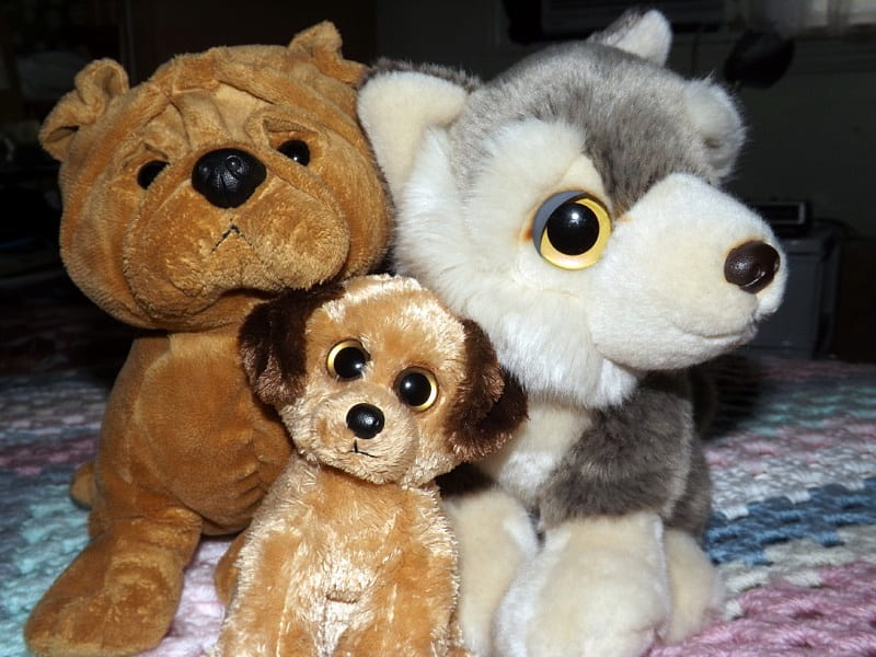sweet little family, brown, teddy, gris, bears, white, HD wallpaper