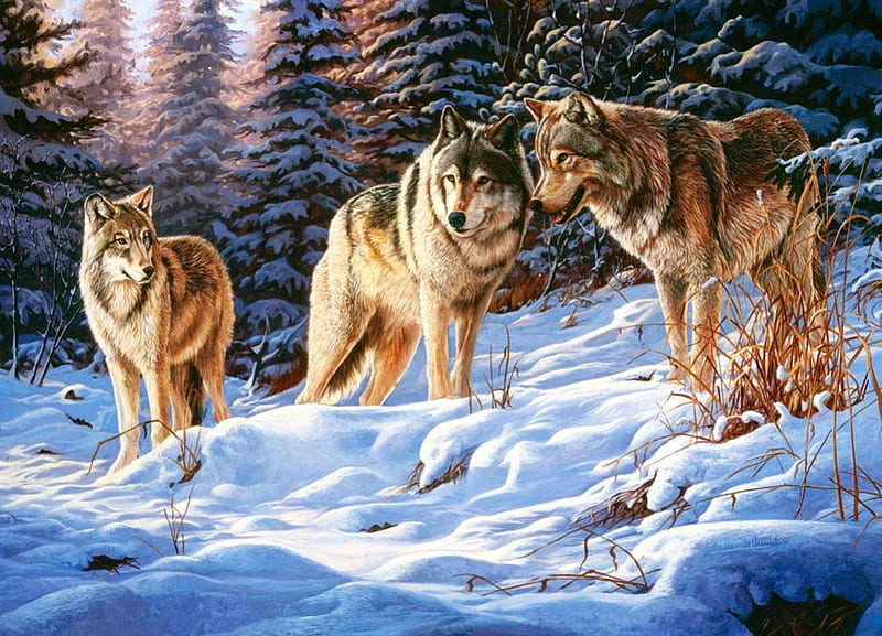 Wolfpack, forest, artwork, firs, winter, predators, snow, painting ...