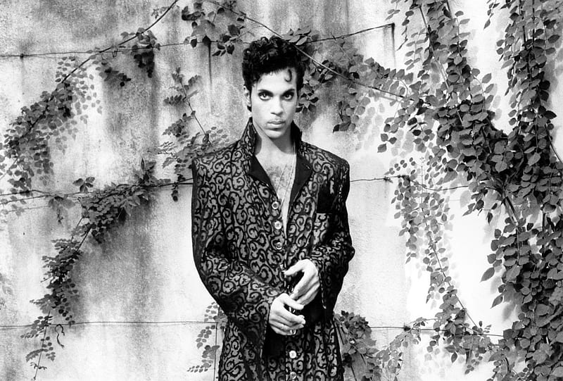 PRINCE ROGERS NELSON, ACTOR, SONGWRITER, PRODUCER, SINGER, HD wallpaper