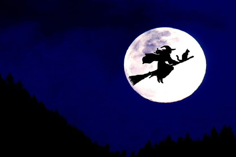 Here comes the WITCH !, witch, moon, full moon, cat, broom, HD wallpaper