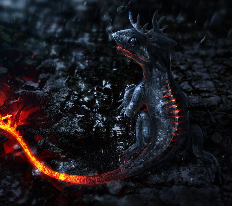 Lava Lizard, fire, magma, HD wallpaper