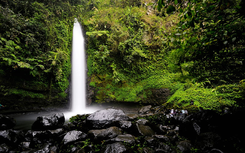 Tropical Rainforest Waterfall 2020 Landscape, HD wallpaper
