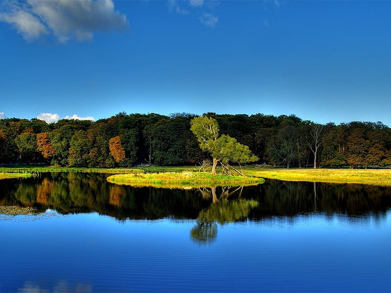 Reflecting Lake, forest, autumn, shore, clear, yellow, sky, lake, baikal, aisle, blue, HD wallpaper
