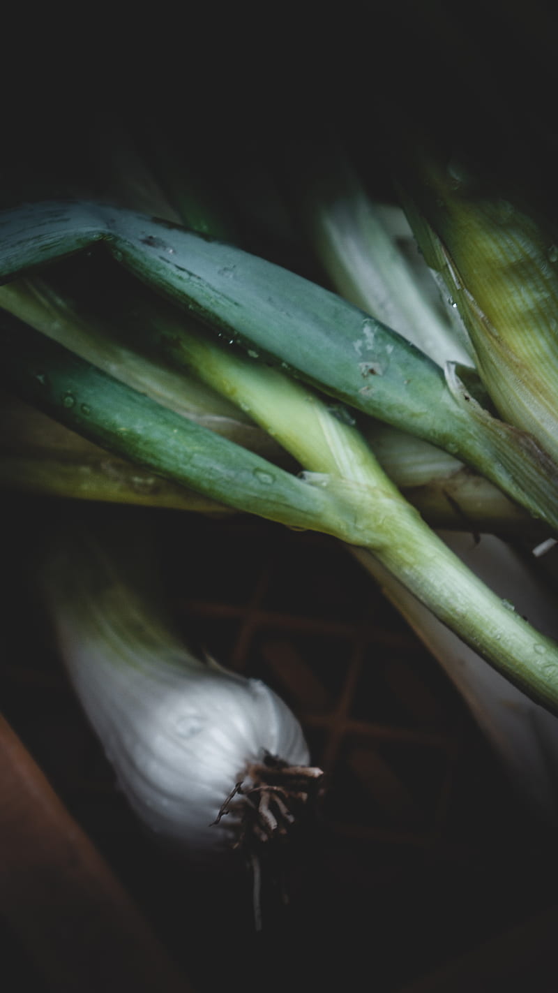 Green Onion, garden, highendhashtag, lauch, vegetables, veggie, HD phone wallpaper
