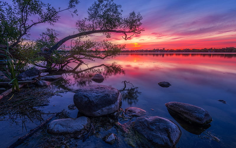 Wilcox Lake, Ontario, willow, wood, stones, dusk, sunset, reflections, canada, HD wallpaper