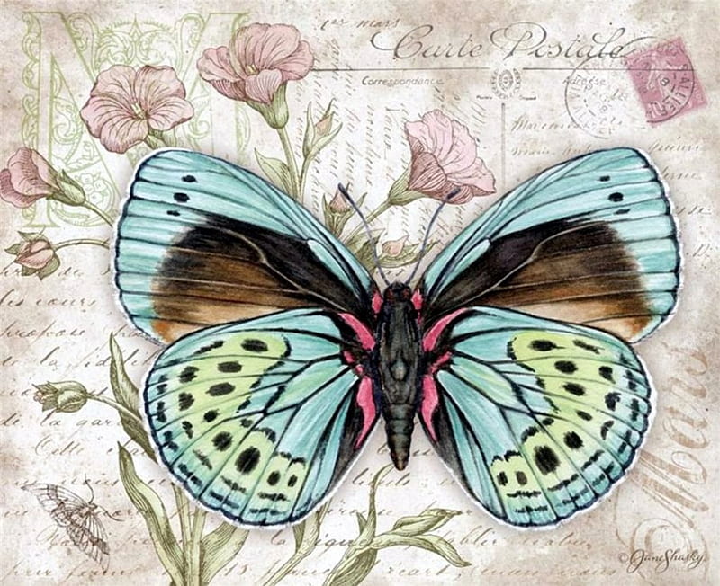 Old Postcard, butterfly, insect, stamp, artwork, vintage, HD wallpaper
