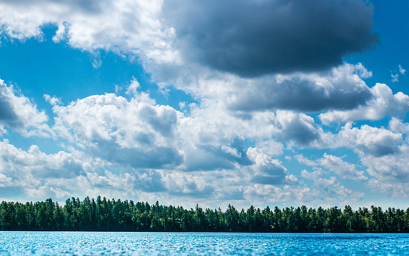 green trees across blue body of water under cloudy sky, HD wallpaper