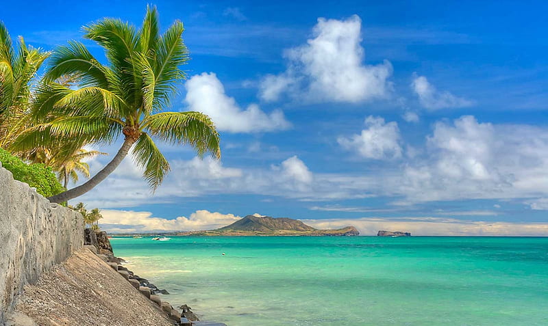 Lanikai Beach, Oahu, Hawaii, turquoise water, bonito, clouds, palm trees,  sea, HD wallpaper | Peakpx