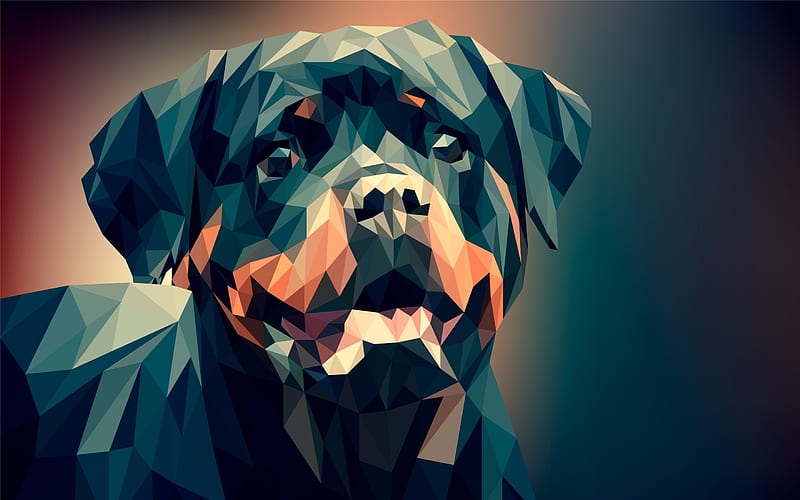 Rottweiler mosaic, dogs, creative, polygons, Rottweiler Dog, geometry, HD wallpaper