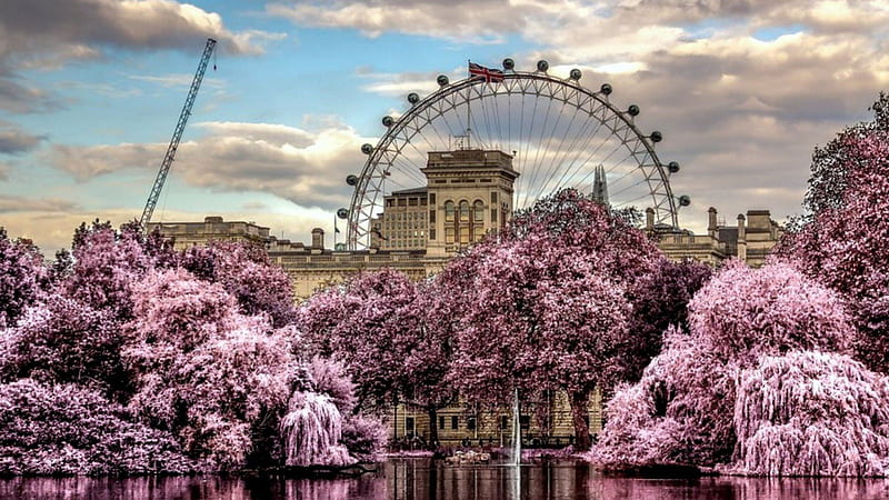 london eye behind beautiful garden r, pond, ferris wheel, mansion, garden, r, trees, HD wallpaper