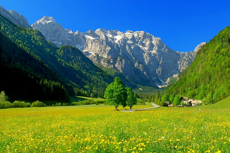 The Logar valley, pretty, grass, bonito, Slovenia, valley, mountain, cliffs, wildflowers, flowers, hills, lovely, houses, greenery, spring, sky, freshness, summer, meadow, HD wallpaper
