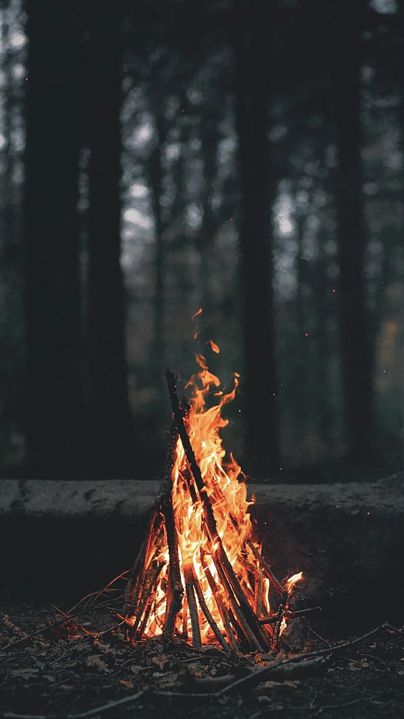 Fire, king, forest, campfire, girl, chill, fireplace, fantasy, tower, dark, HD phone wallpaper