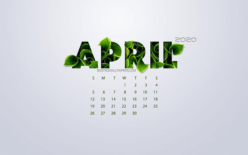 April 2020 Calendar, eco concept, green leaves, white background, 2020 spring calendar, 2020 concepts, 2020 April Calendar, HD wallpaper