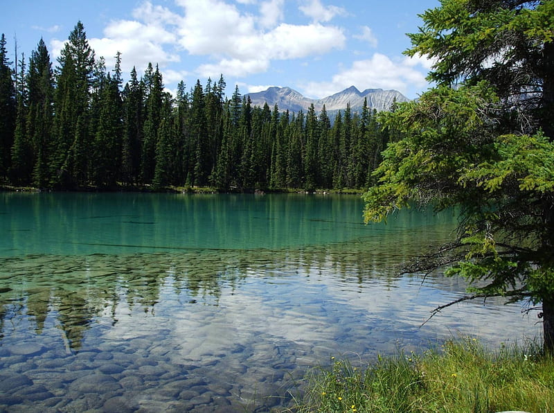 Beauvert Lake, mountain, forest, cool, nature, fun, lake, HD wallpaper
