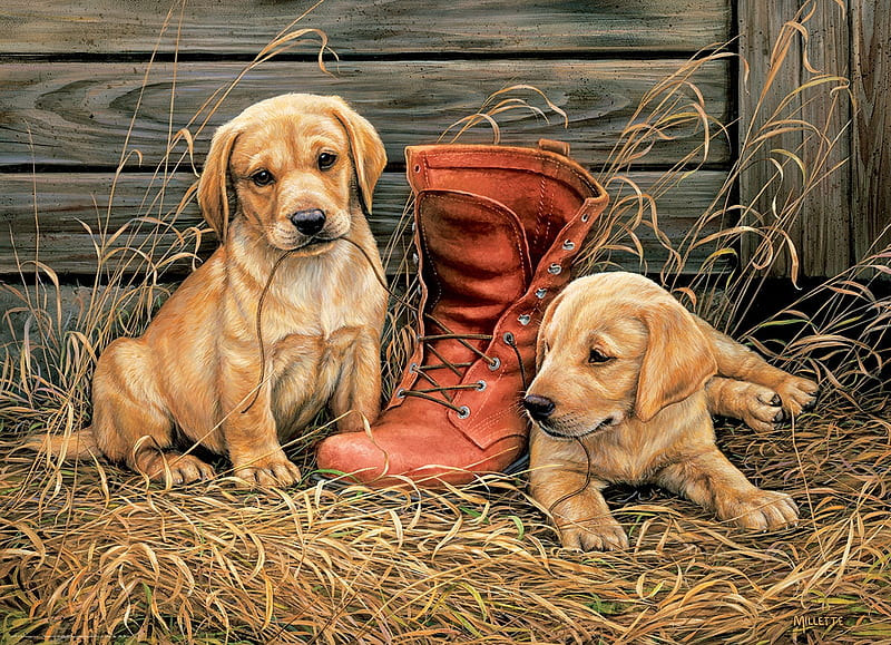 Something old, something new, milette, dog, animal, puppy, art, boot, caine, hay, cute, painting, shoe, pictura, HD wallpaper