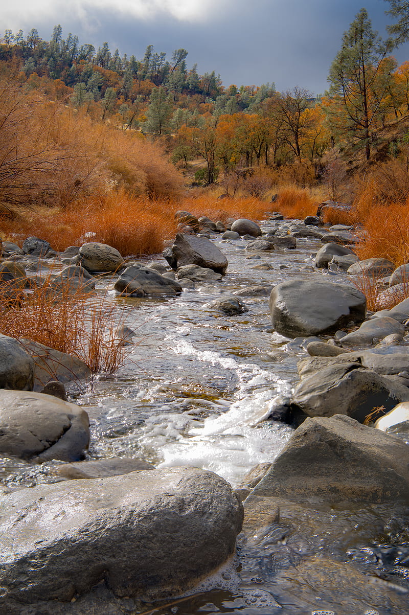 river, stones, trees, autumn, landscape, HD phone wallpaper