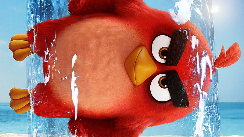 The Angry Birds Movie 2 2019, the-angry-birds-2, the-angry-birds-movie-2, movies, angry-birds, 2019-movies, poster, HD wallpaper