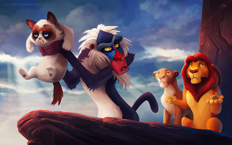 The Lion King Grumpy Cat Funny, the-lion-king, lion, 2019-movies, movies, disney, simba, HD wallpaper