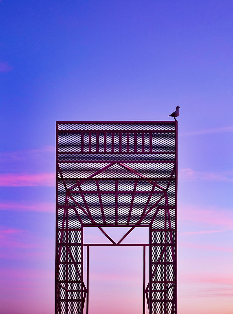black bird on top of red steel structure, HD phone wallpaper