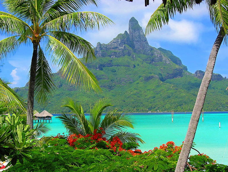 Bora Bora Resort South Polynesia, resort, retreat, Tahiti, volcano, sea, atoll, palm trees, beach, lagoon, sand, Bora Bora, south polynesia, south pacific, luxury, blue, exotic, holiday, ocean, escape, paradise, island, tropical, HD wallpaper