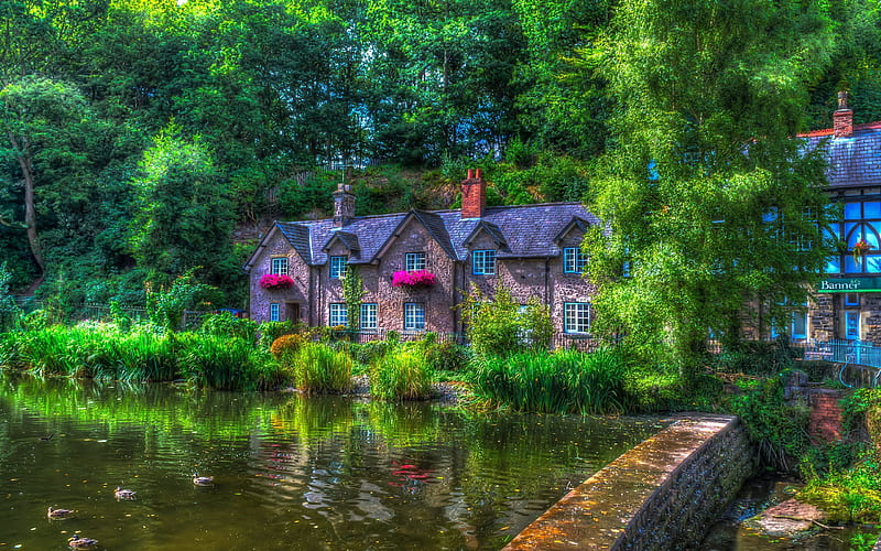 England, street, Lymm, pond, house, summer, R, UK, HD wallpaper