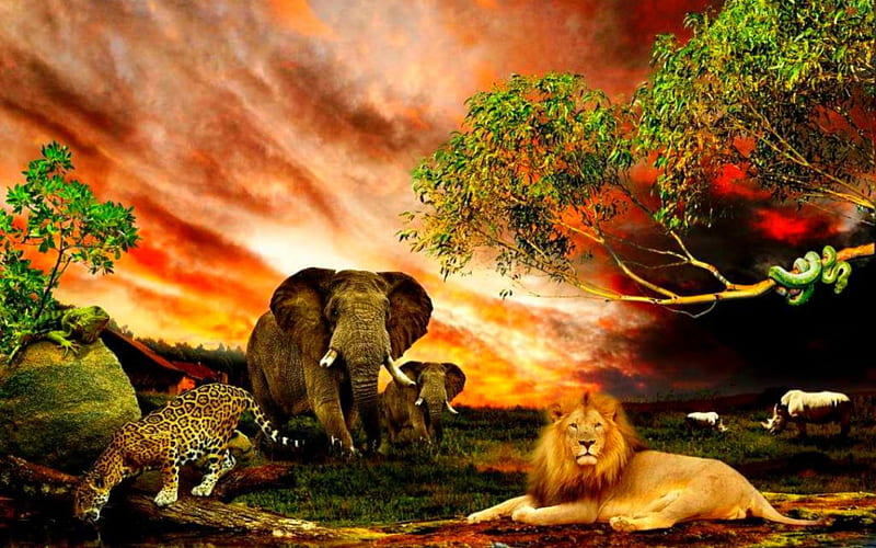 Wild Animals, elephant, wild, nature, tiger, sky, lion, animals, HD  wallpaper | Peakpx