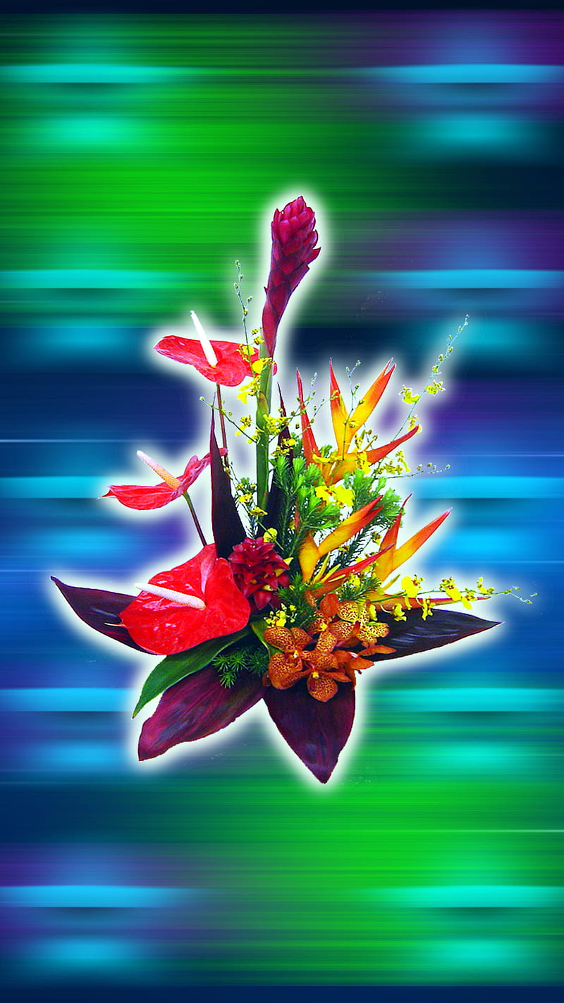 fleurs tropical, flowers, flowers, HD phone wallpaper