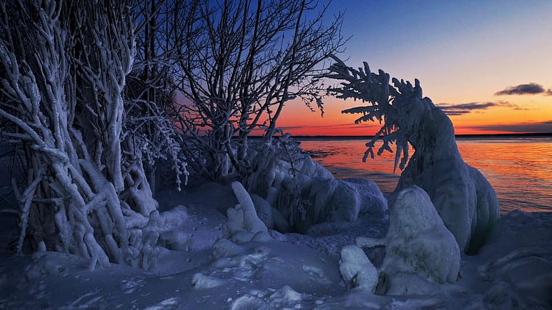 Whitefish Bay, Lake Superior, Ontario, winter, snow, colors, trees, sky, water, canada, sunset, HD wallpaper