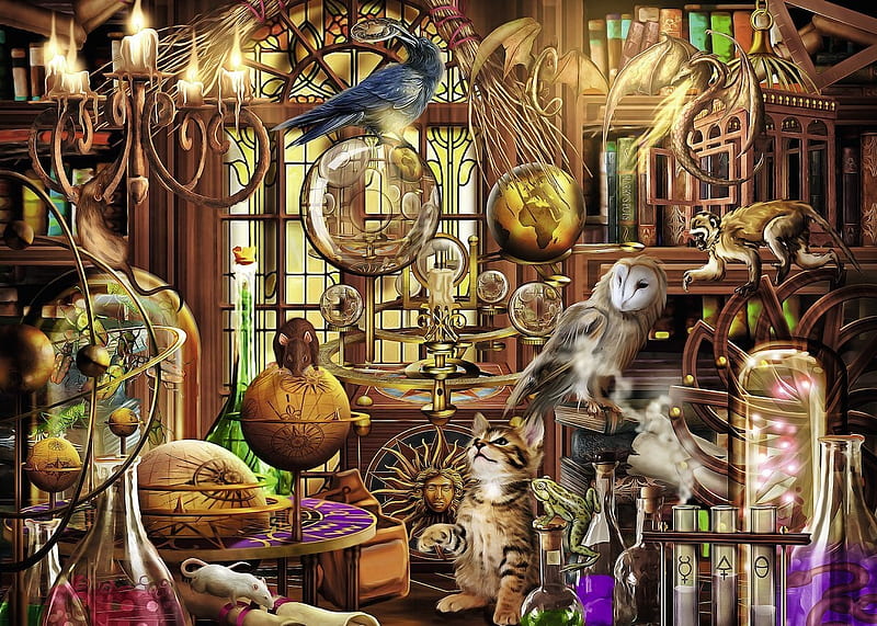 Merlin's Laboratory, art, owl, utensils, cat, monkey, frog, bird, rat, room, HD wallpaper