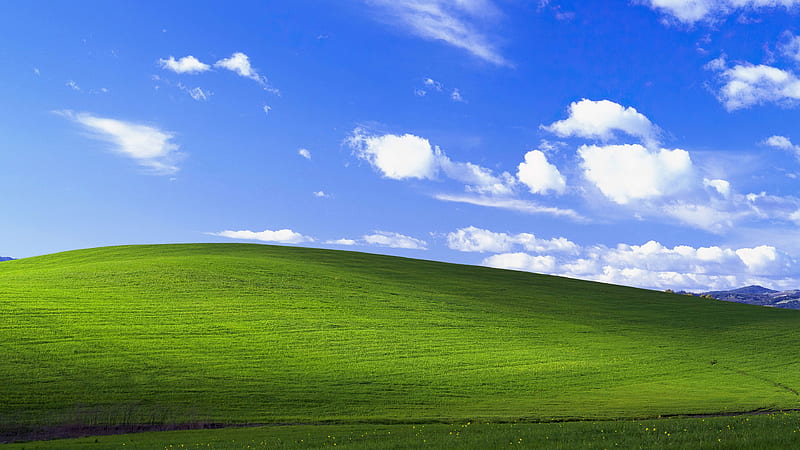 Windows XP, bliss, Microsoft, HD wallpaper