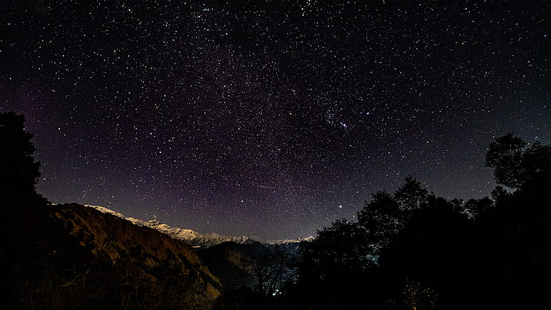 starry sky, stars, shine, night, trees, starry night, HD wallpaper
