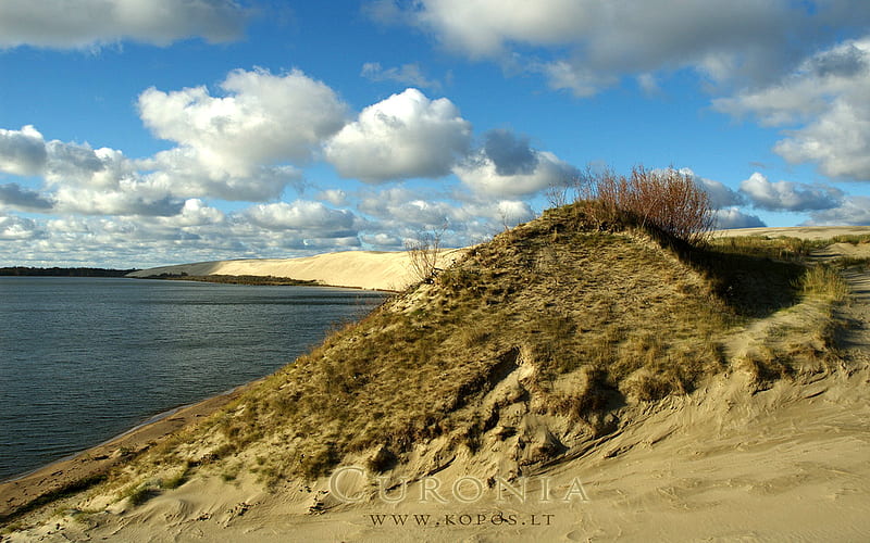 Sand wandering in Curonia, world, lithuanian, kurische, national, curonia, bonito, magic, neringa, valley, spit, sand, dunes, cultural, heritage, fabulously, list, nehrung, legend, beauty, harmony, unesco, kopos, strict, curonian, unique, park, sahara, reserve, nature, landscape, HD wallpaper