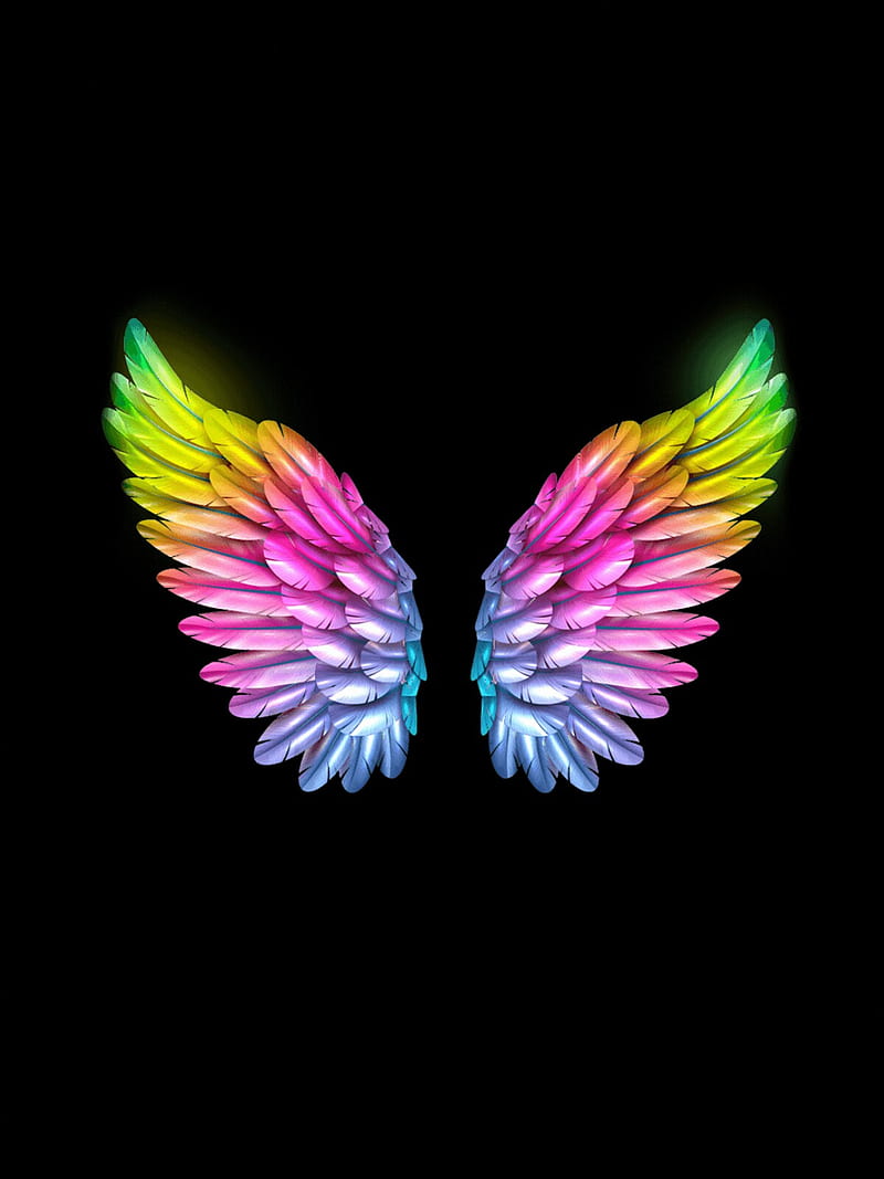 Wing wing, colour, HD phone wallpaper