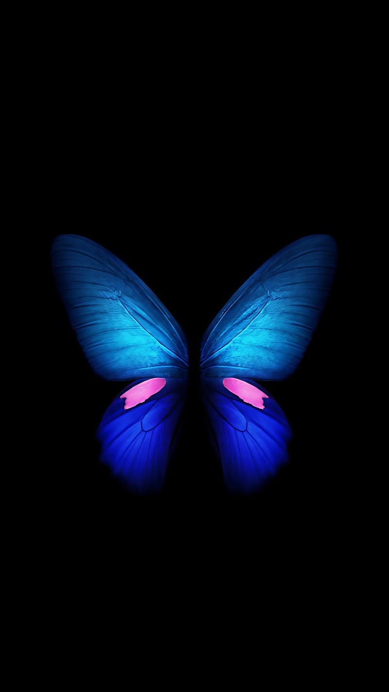 Trending Mobile, Blue Butterfly, black background, HD phone wallpaper ...