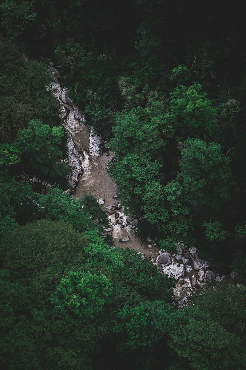 river, trees, aerial view, stones, current, HD phone wallpaper