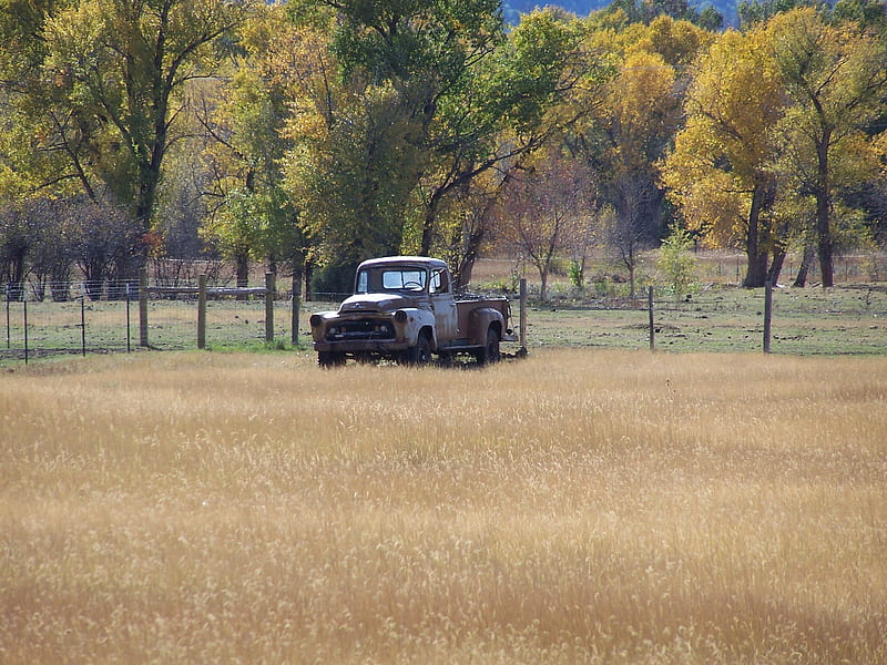 Vintage Pickup in Field. Victor, Idaho, Fall, Pickups, Antiques, Mountains, Fields, Autumn, HD wallpaper
