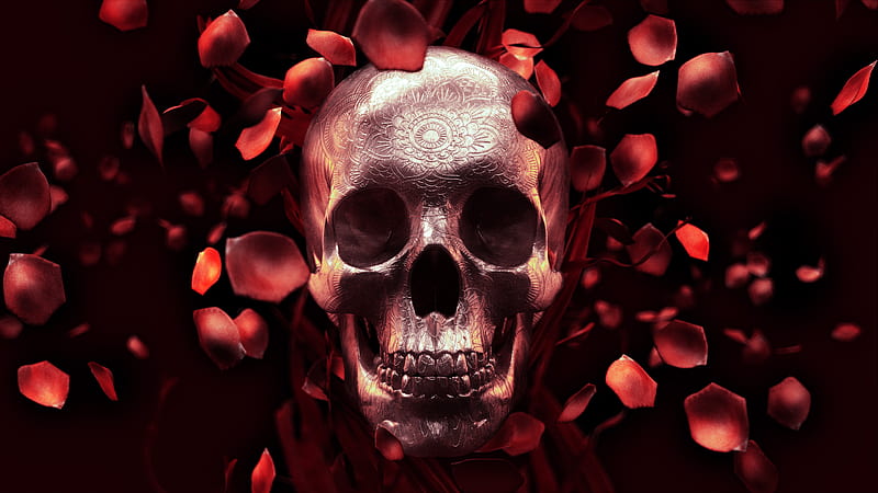 Rose Petal Skull, rose, petal, skull, artwork, behance, HD wallpaper