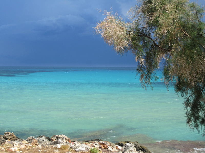 Sa Coma Mallorca, beach, blue, ocean, spain, HD wallpaper