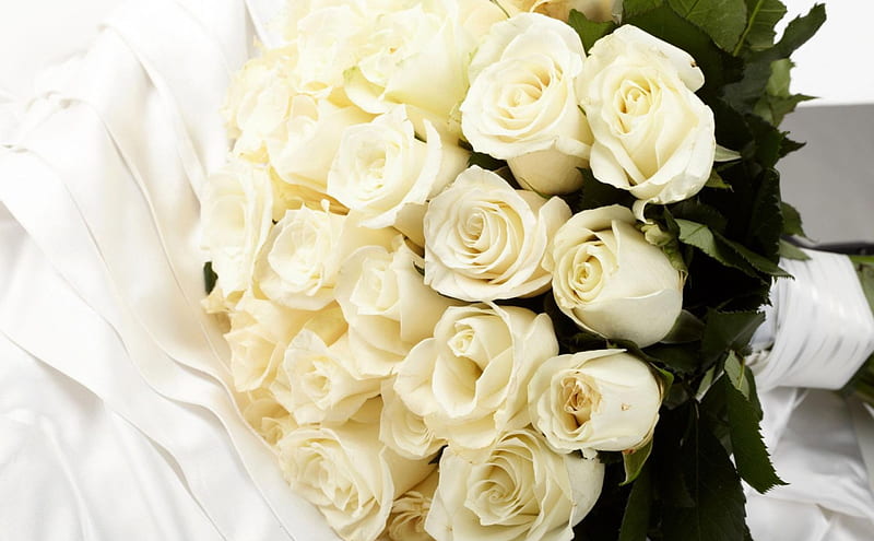 Whte Roses Bouquet, flowers, roses, white, bouquet, HD wallpaper