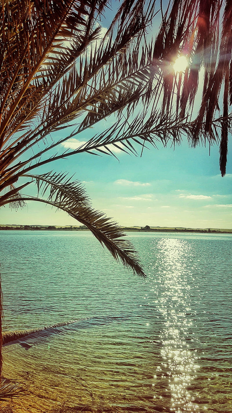 Paradise, egypt, lake, palmtree, sky, sun, water, HD phone wallpaper