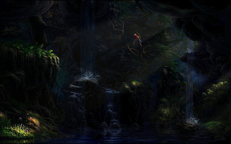 In the jungle by Fel X, HD wallpaper