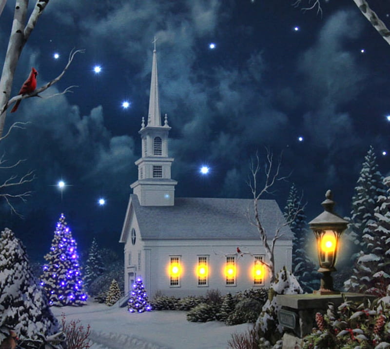 CHRISTMAS, WINTER, LIGHTS, CHURCH, TREES, STARS, SKY, NIGHT, HD wallpaper