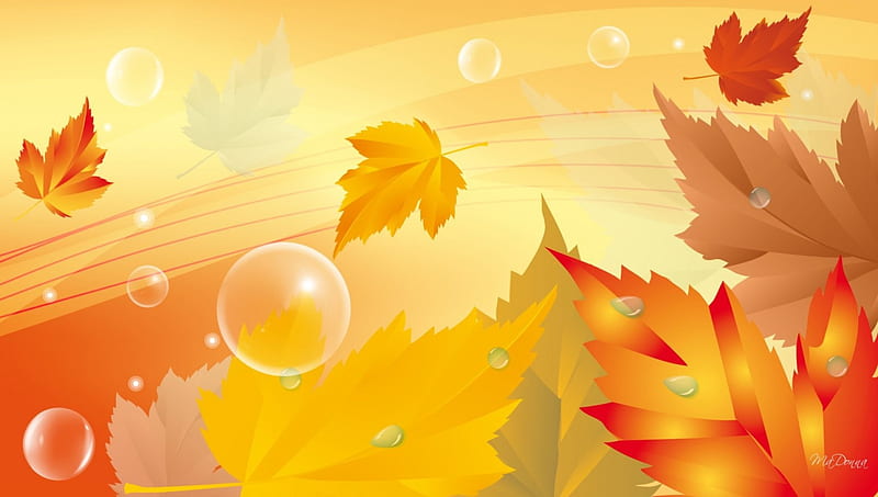 When the Wind Blows, fall, autumn, orange, maple, wind, breeze, colors, yellow, leaves, gold, bubbles, blowing, season, HD wallpaper