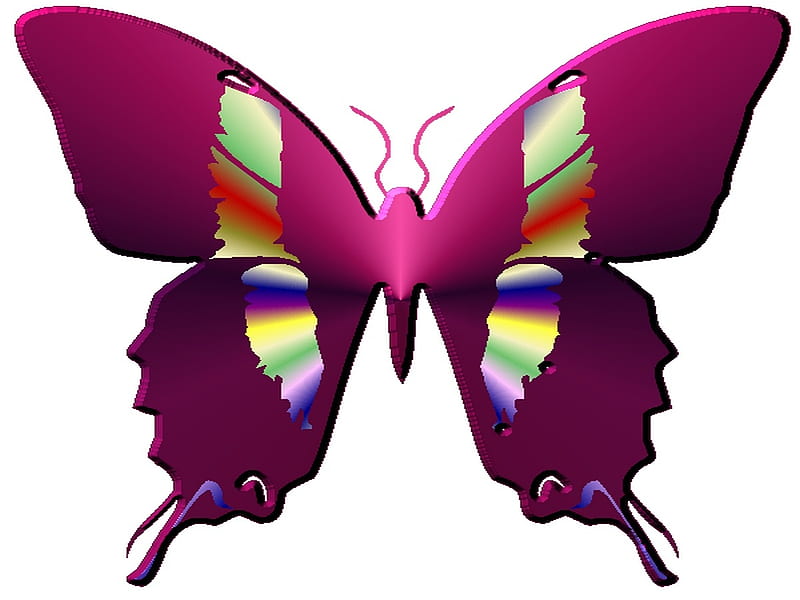 Pcologis03, desenho, butterfly, decorative, enjoyment, HD wallpaper